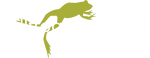 Bullfrog Powered Logo